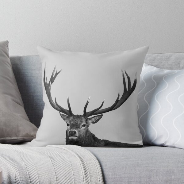 Untitled Throw Pillow