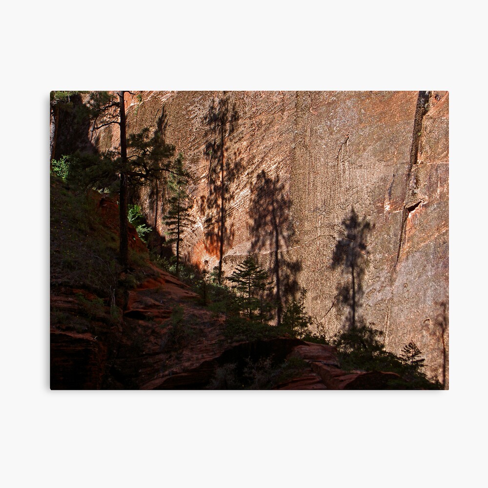 Light and Shadows in Zion Canvas Print