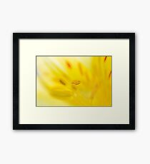 Yellow petals Framed Print