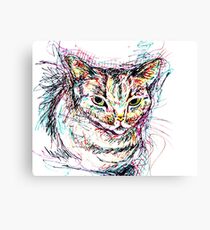 Stu Canvas Print