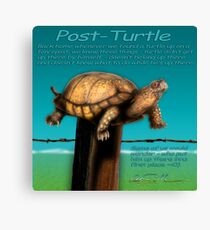 Post Turtle Canvas Print