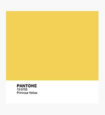 Pantone - Primelgelb Fotodruck