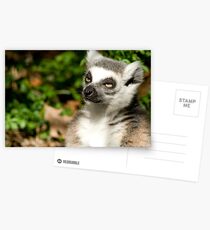 Sunlit Lemur Postkarten