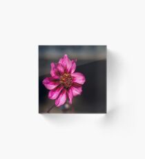 Perennial Acrylic Block