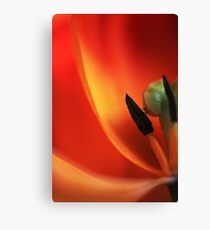 On the inside Canvas Print