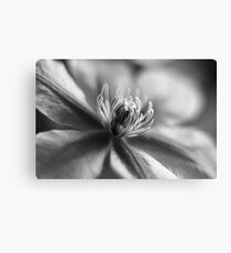 Mono Clematis Canvas Print