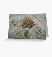 Waterdrops Greeting Card