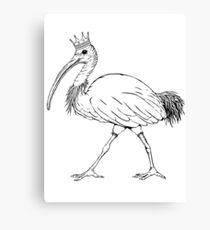 King Ibis - Black Outline Canvas Print