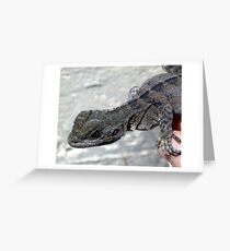 Dragon Greeting Card
