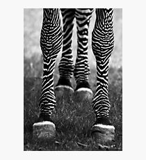Zeb Legs Photographic Print