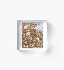 The Blackthorn Bush Acrylic Block