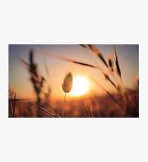 Sunset Photographic Print