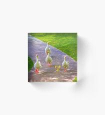 Walkers Acrylic Block