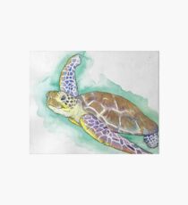 Sea Turtle Art Board