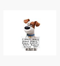 The secret life of pets Max Photographic Print