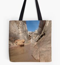 Paria Canyon Tote Bag