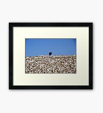 MINERAL, KALYMNOS, DODECANESE Framed Print