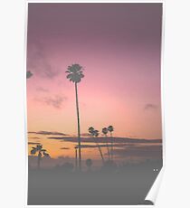 Miami sunset Poster
