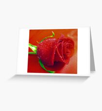 *RED ROSE* Greeting Card