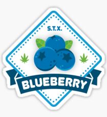 Blueberry Sticker