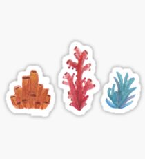 Coral Sticker