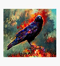 raven Photographic Print