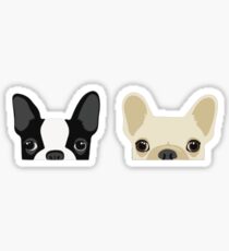 Boston Terrier et le bouledogue français Sticker