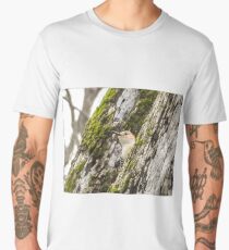 Red Bellied Wood Pecker 2 Men's Premium T-Shirt