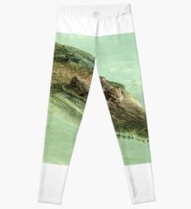 Gator by Unknown Leggings