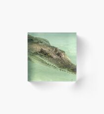 Gator by Unknown Acrylic Block