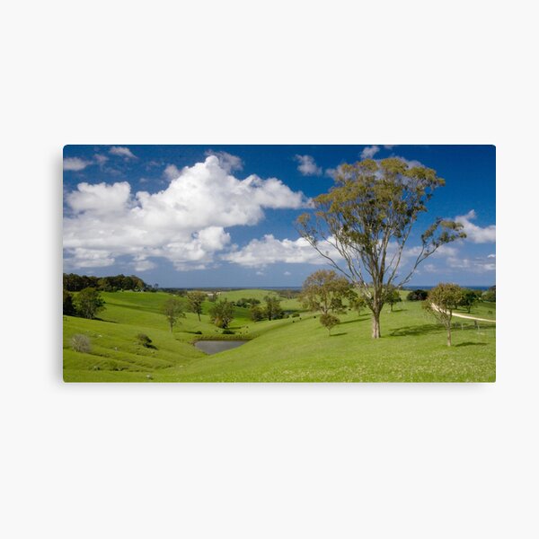 New South Wales South Coast Canvas Print