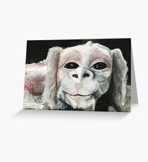 Falcor Greeting Card