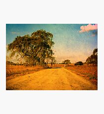 The Bend in the Road by the Willow Tree Photographic Print