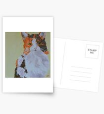 QT the Cat Postcards