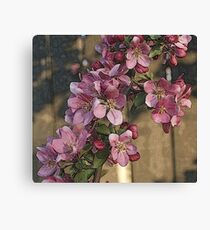 Blossoms Canvas Print