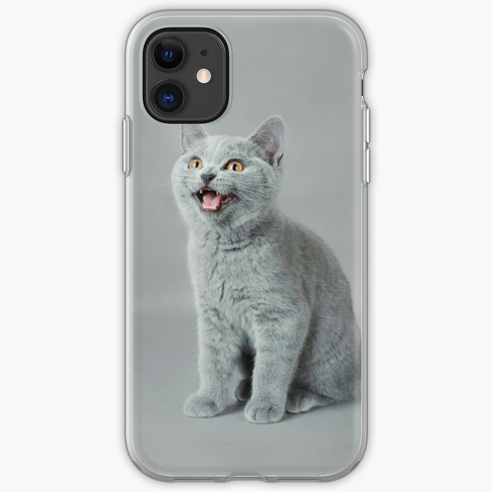 British Shorthair Cat British Blue Kitten Iphone Case Cover By