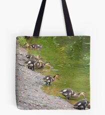 Lining Up Tote Bag