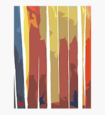 Streamers Photographic Print