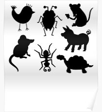 Animals Poster