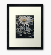 Daisies Framed Print