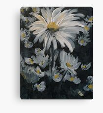 Daisies Canvas Print