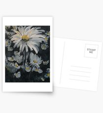 Daisies Postcards