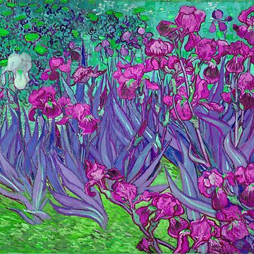 Masterpiece Story: Irises by Vincent van Gogh