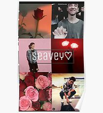 why dont we flower Poster