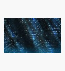 Whale Shark Skin2 Photographic Print