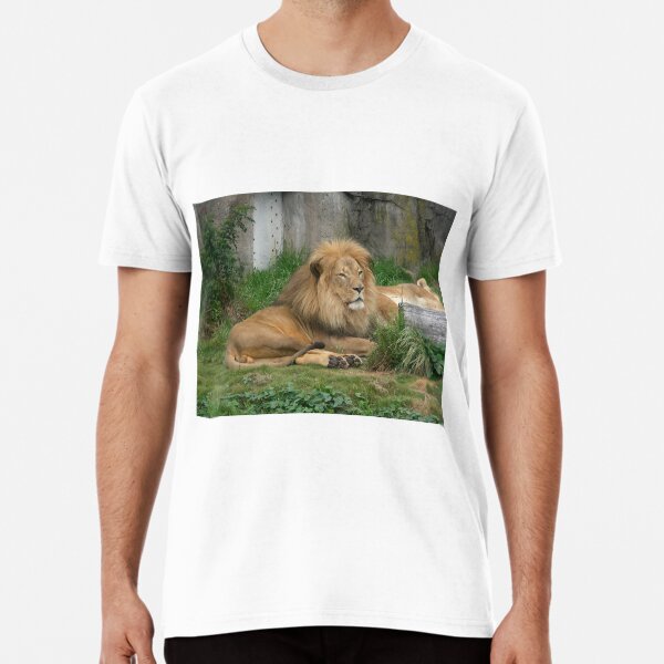 Lions 004 Premium T-Shirt