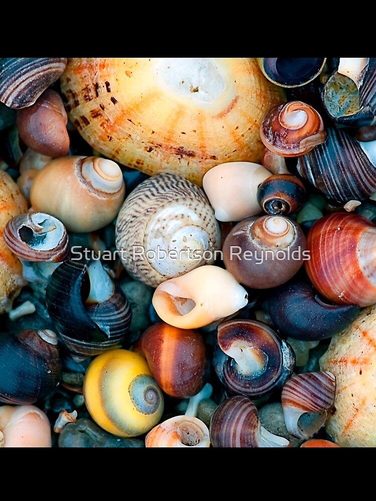 The Shore by Sparky2000