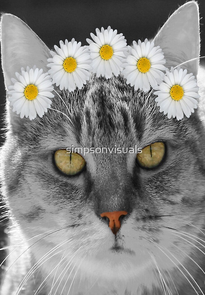 "Princess Daisy Cat" by simpsonvisuals Redbubble