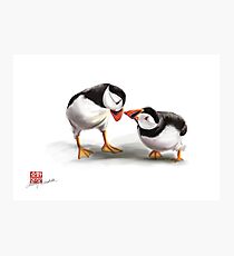Puffin Love Photographic Print