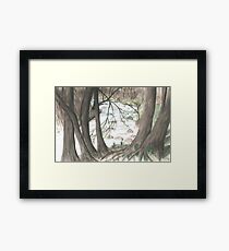 Hidden Stream Framed Print